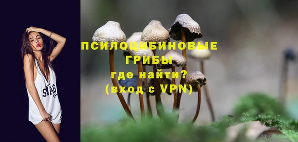 прущие грибы Карталы