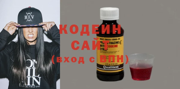 прущие грибы Карталы