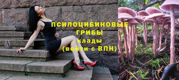 прущая мука Карпинск