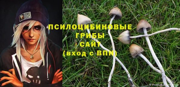 прущие грибы Карталы