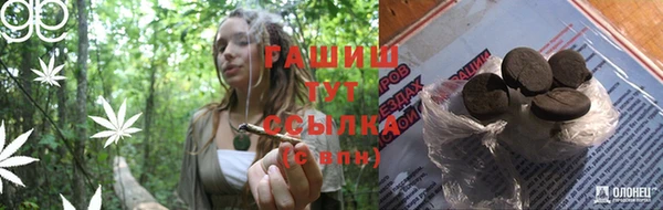 прущие грибы Карталы