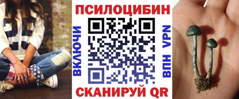 Псилоцибиновые грибы GOLDEN TEACHER  Купить  Можайск 